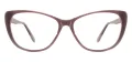 Cat Eye Female Spectacles