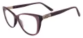 Cat Eye Female Spectacles