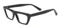 Cat Eye Fashion Eyewear