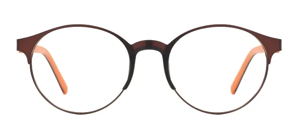 Round Metal Spectacles - Brown